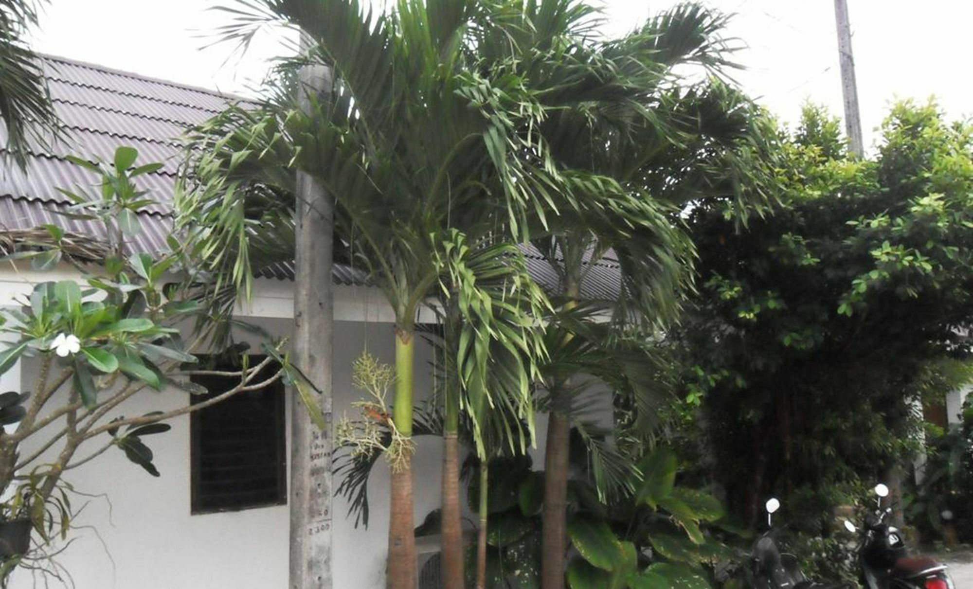 奥南sr简易别墅旅馆 Ao Nang 外观 照片